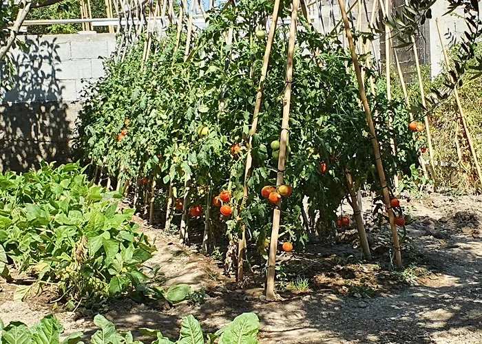 Click In Stobrec Next To Appartamento *