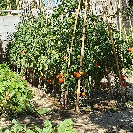 Click In Stobrec Next To شقة *